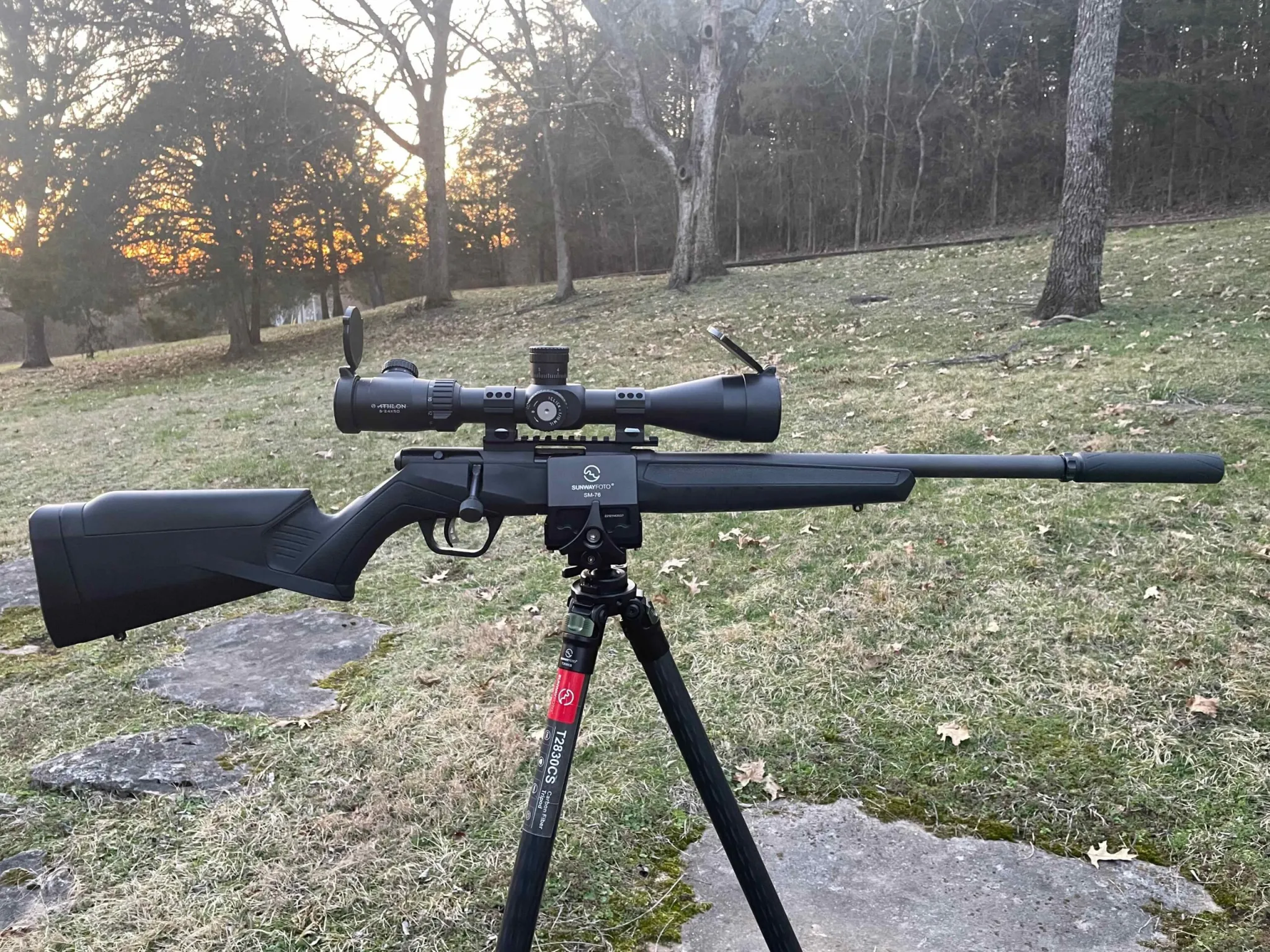Savage B17 Rifle: Affordable Pest Control