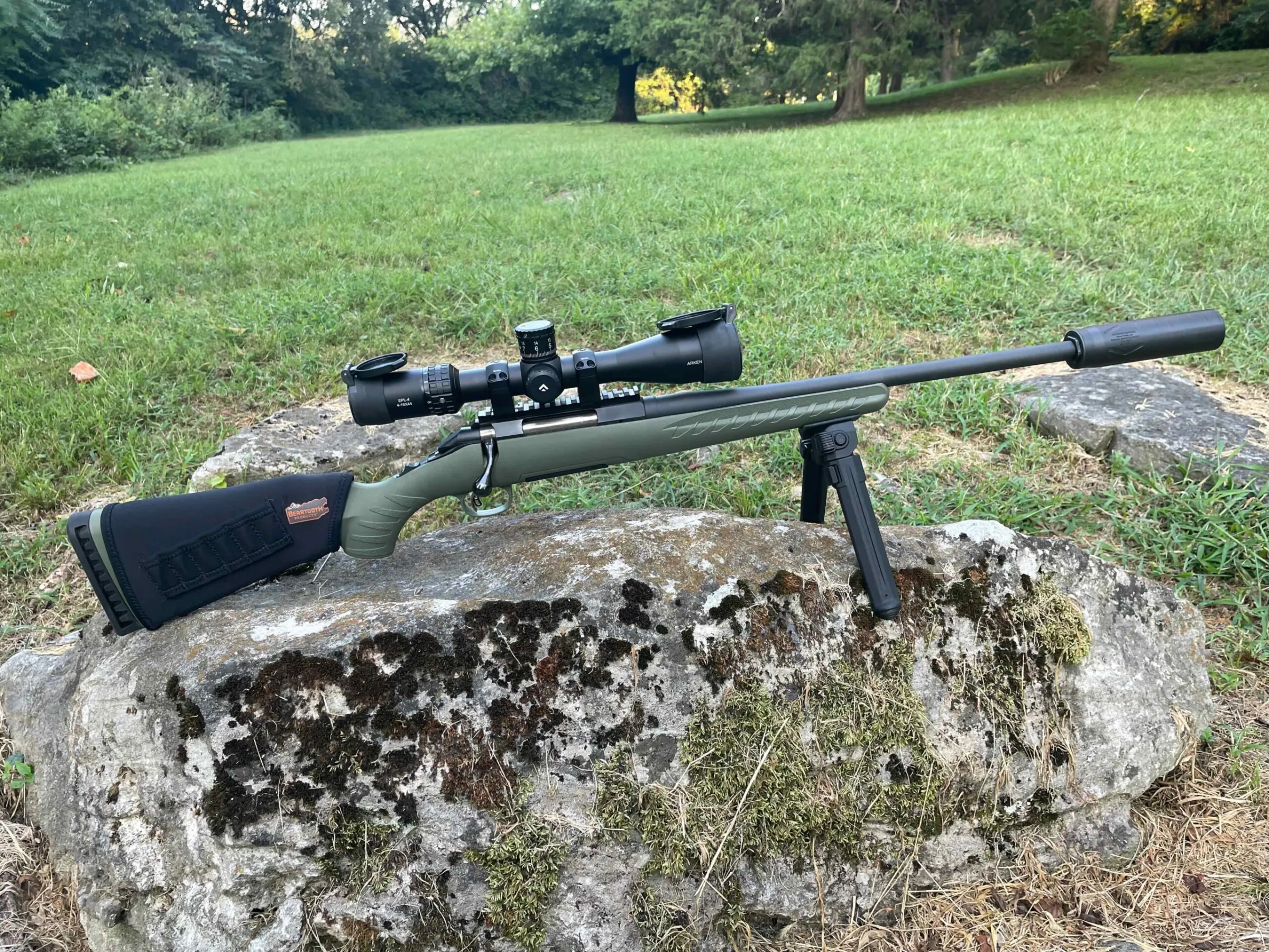 Modern .308 Hunting Rifle on a Budget